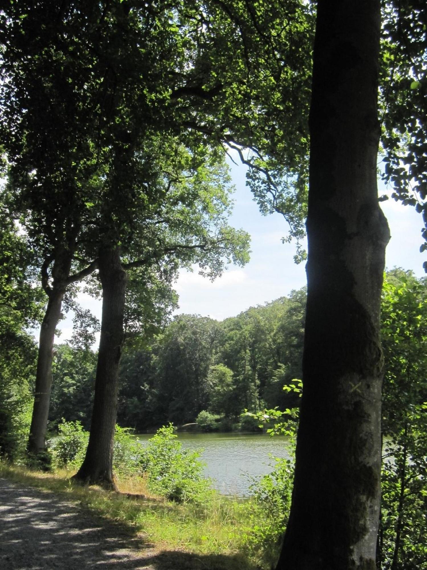 Ibis Les Etangs Des Moines Fourmies Exterior foto